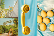 Summer Blues Yellow Pop, a Nature Photo by Munopia (Thumbnail 2 of 6)