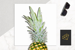 Surf Pineapple Scene Creator