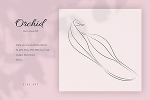Orchid #10. Line Art Illustration, a Decorative Illustration by lapi-olesya