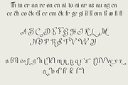 Jelvion – Serif Font, a Serif Font by NDNL Studio (Thumbnail 11 of 12)