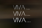 VINA TrueType Font, a Sans Serif Font by alphadesign (Thumbnail 3 of 4)