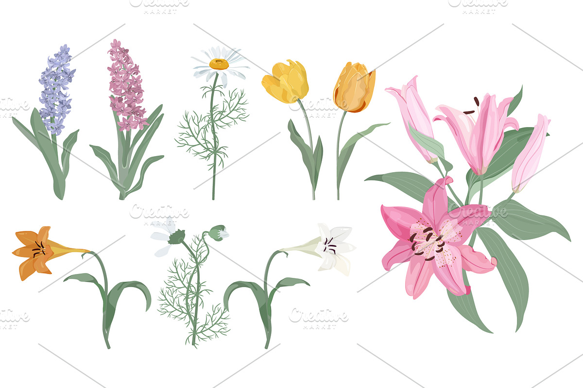 A collection of floral patterns, a Pattern Graphic by artdemidova (Photo 4 of 9)