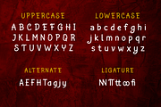 Cuizy | Handwritten Display, a Sans Serif Font by twinstd (Thumbnail 8 of 10)