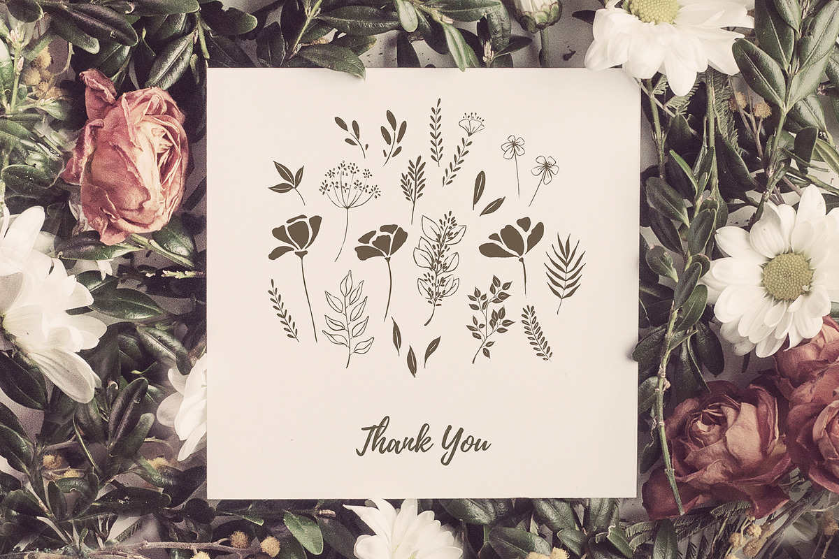 Organic Botanicals & Logo Designs, an Illustration by amber&ink (Photo 17 of 17)