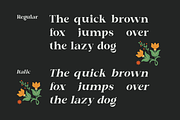 Chafira, a Serif Font by Zafiratype (Thumbnail 5 of 10)
