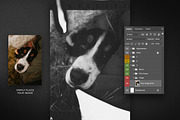 Expired Film Photo Templates, a Design Template by Andrew Skoch Design (Thumbnail 6 of 8)