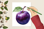 Summer Vintage fruits Sublimation Cl, an Illustration by RobertsArt (Thumbnail 3 of 7)