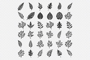 Silhouette Leaf Bundle, an Illustration by Toufiqul