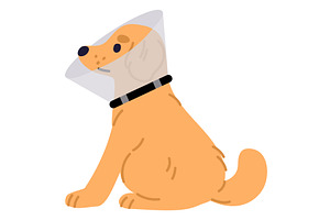Dog is sitting in clear veterinarian, a Healthcare Illustration by Vectorbuum