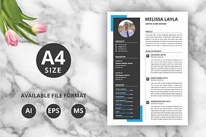 Modern Resume / Cv Design Template
