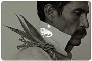 Agave & Tequila Vintage Vectors, an Object Graphic by Craftrick (Thumbnail 4 of 9)