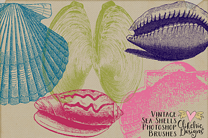 Vintage Sea Shell Photoshop Brushes