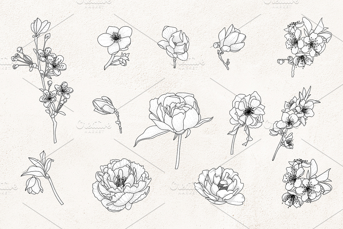 Floral Line Art SVG Botanical Frames, an Illustration by PawGraphic (Photo 2 of 10)