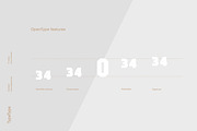TT Octas, a Sans Serif Font by TypeType (Thumbnail 2 of 11)