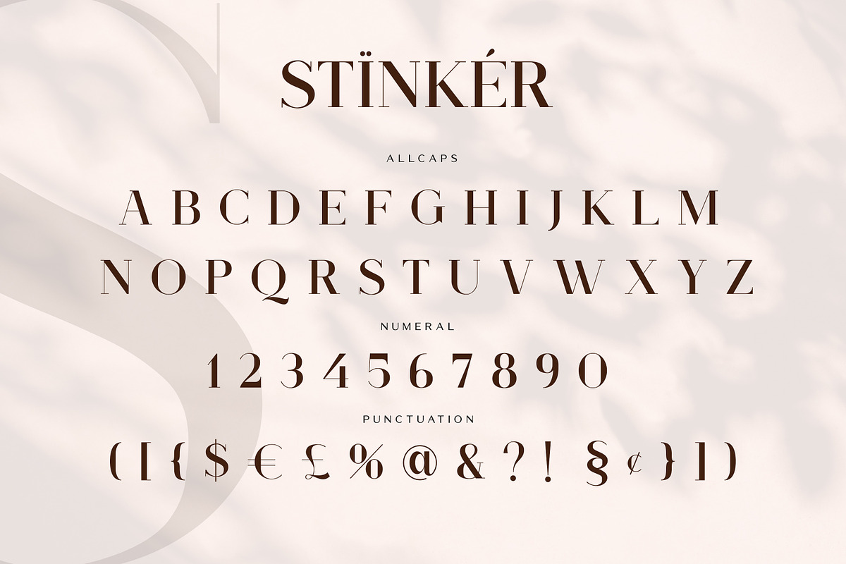 Stinker - Modern Serif Family preview 8