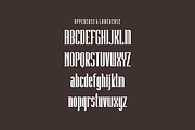 Mabung - Modern Display Font, a Serif Font by lelevien (Thumbnail 3 of 4)