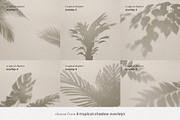 Tropical & Window Shadow Overlay, a Product Mockup by Lifestyle Project (Thumbnail 4 of 9)