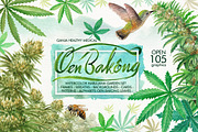 Watercolor Marijuana Set, a Healthcare Illustration by Graphobia (Thumbnail 1 of 9)