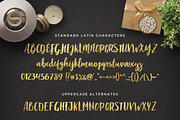 Maloishe Brush Script Font, a Script Font by Design Panoply (Thumbnail 2 of 10)
