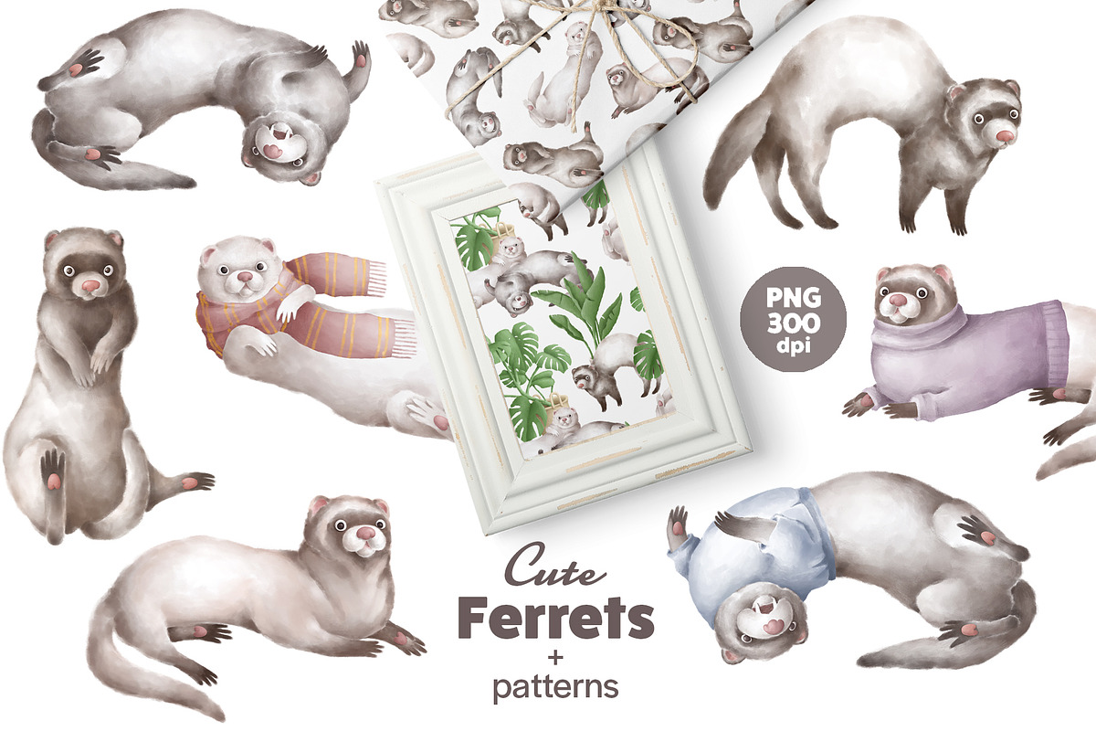 Cute Ferrets+patterns, an Animal Illustration by TheCuteShop (Photo 1 of 8)