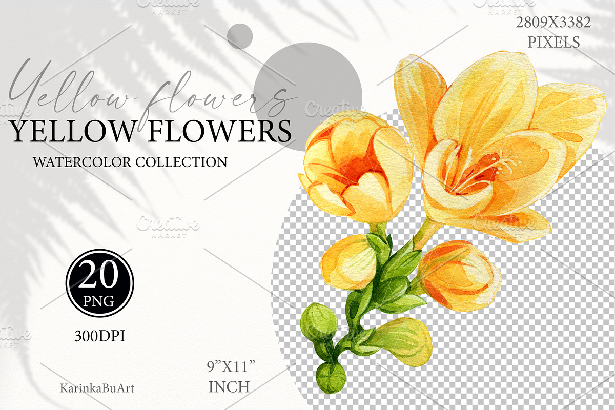 Watercolor Yellow flowers wildflower, an Object Graphic by KarinkaBU (Photo 4 of 7)