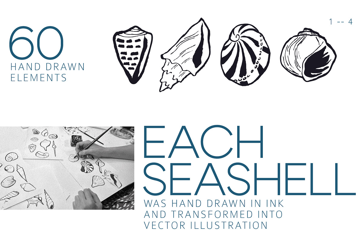 Seashells Hand drawn vector elements, a Seasonal Illustration by Lena Nikolaeva (Photo 3 of 14)