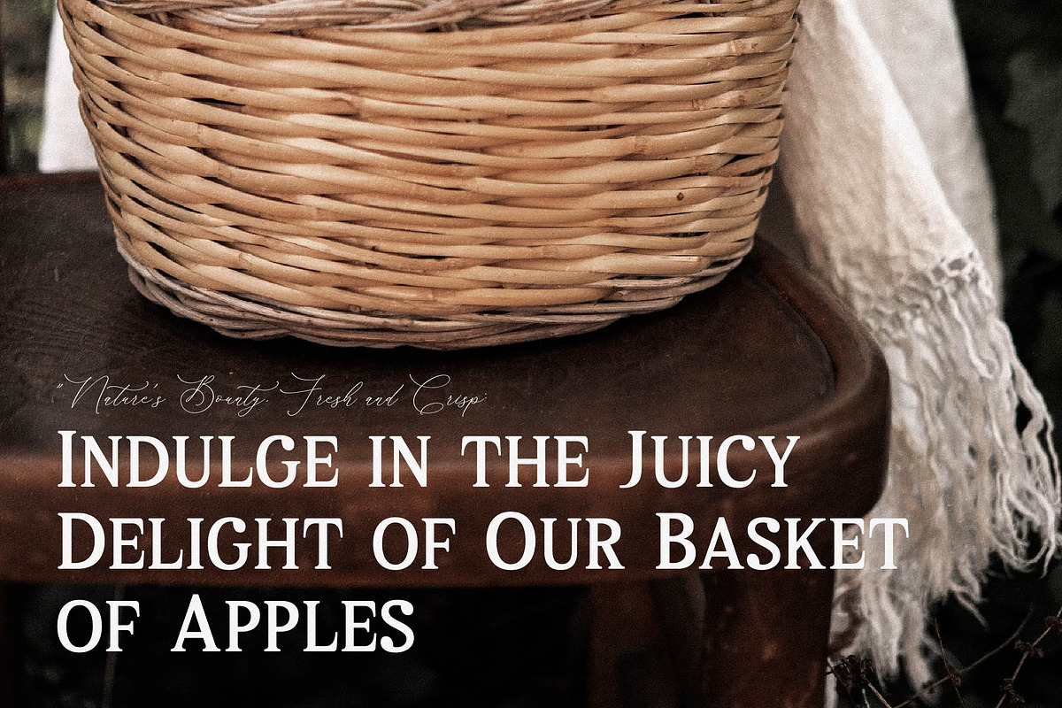 Melton Bronze Timeless Display Serif, a Serif Font by Storytype Studio (Photo 8 of 15)