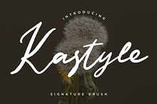 Kastyle Brush Business Font