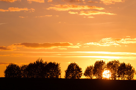 Evening landscape with silhouettes o stock photo containing sunset and, a Nature Photo by oleghz