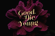 Tefis Font • 30% off, a Serif Font by vuuuds (Thumbnail 7 of 13)