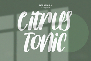 Citrus Tonic Handwritten Script Font