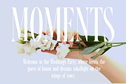 Santall: Modern Serif Font, a Serif Font by Andfonts (Thumbnail 7 of 10)