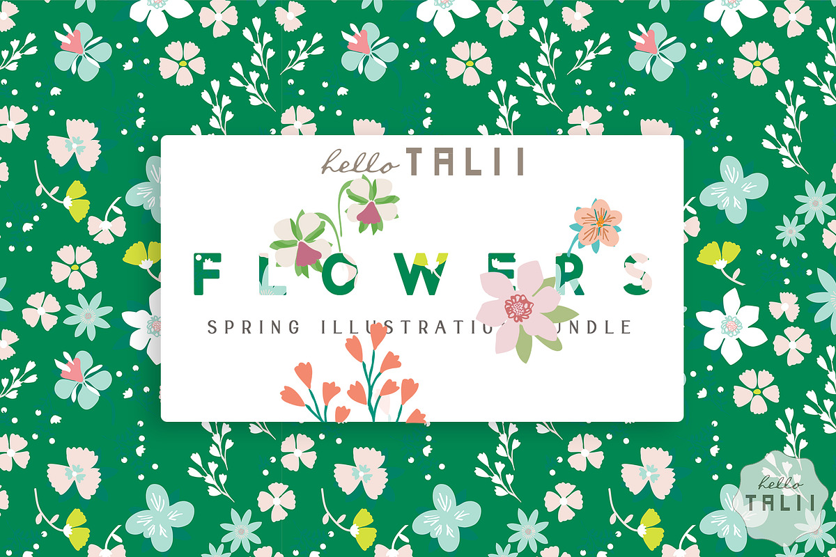 FLOWERS- Spring Illustration Bundle, a Seasonal Illustration by Hello Talii (Photo 1 of 8)