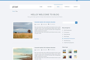 Piksel Multipurpose HTML Template