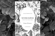 Winter Flowers Christmas Collection, a Seasonal Illustration by Yevheniia (Thumbnail 2 of 12)