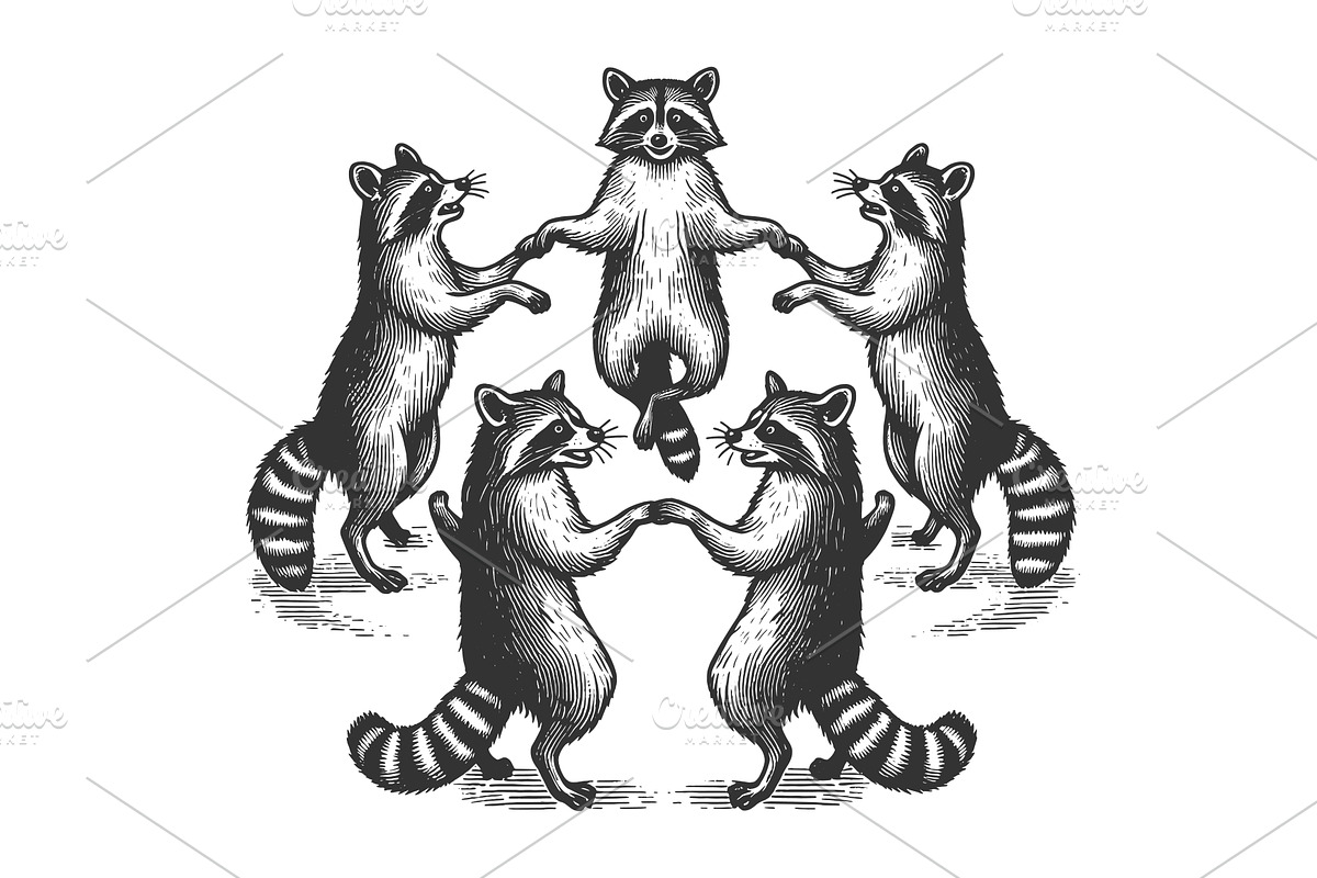 Raccoons dancing in a circle vector, an Animal Illustration by AlexArt