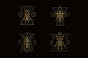 16 Insect symbols and 4 Patterns, an Outline Icon by Anna Smirnova (Thumbnail 3 of 12)