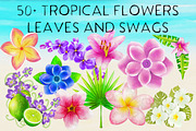 Tropical Cocktails & Flower Set, a Food Illustration by Little Bunny Sunshine (Thumbnail 3 of 9)