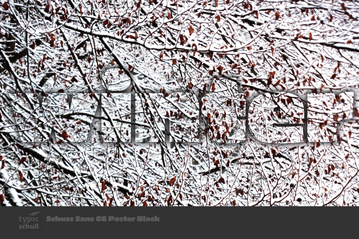 Schuss Sans CG Poster Black, a Sans Serif Font by typic schuss (Photo 13 of 15)