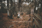 Woodland Icons Illustrations Forest, an Outline Icon by CreativeWilderness (Thumbnail 10 of 11)