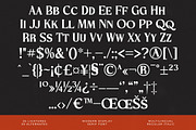 Storm Blokade Modern Display Serif, a Serif Font by timelesstype.co (Thumbnail 19 of 20)