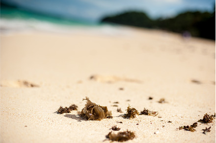 Beautiful white sand beach of, a Nature Photo by Elizaveta Galitskaya