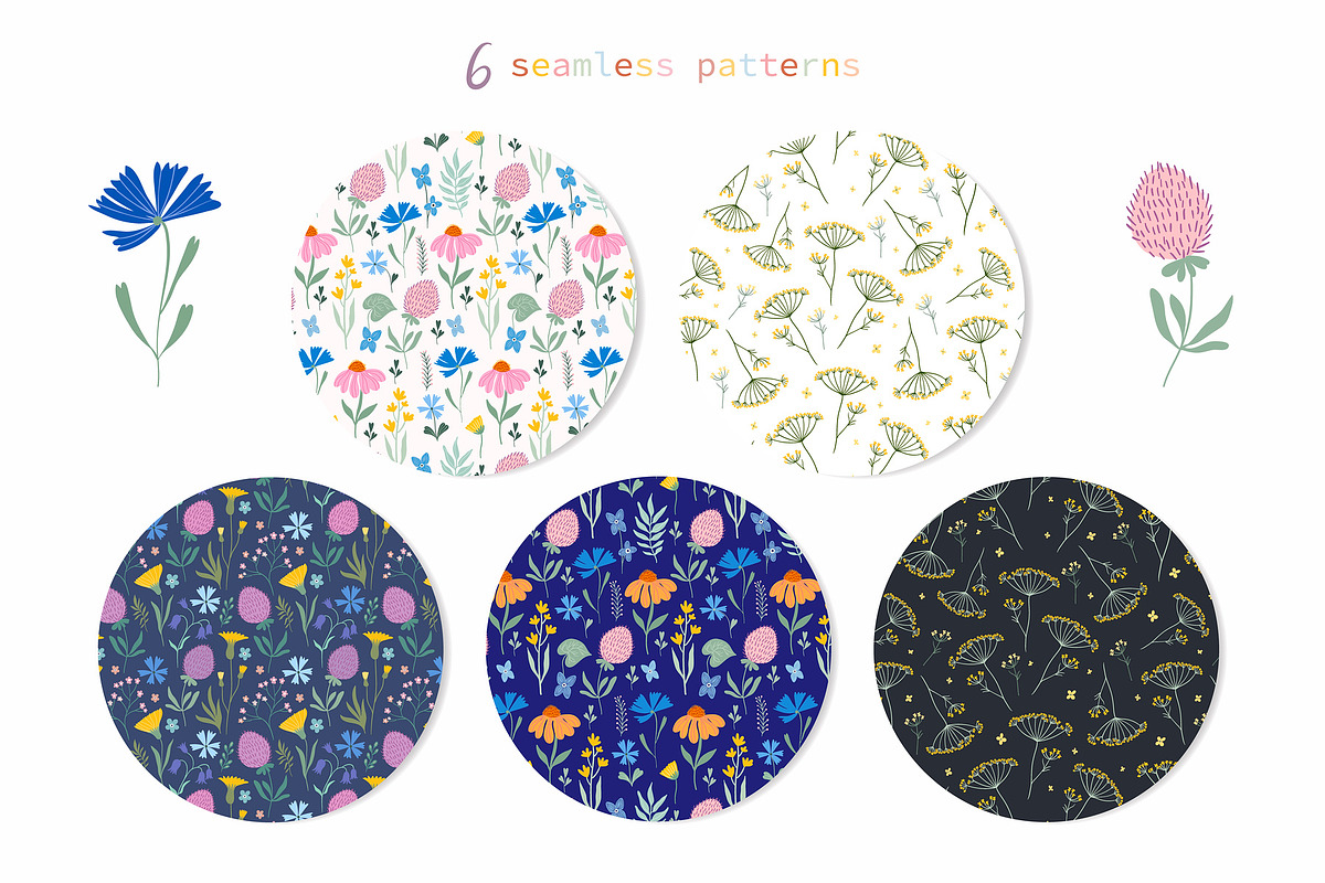 Meadow flowers collection, an Illustration by Letto studio (Photo 7 of 7)