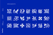 TT Ricordi Marmo, a Serif Font by TypeType (Thumbnail 6 of 15)