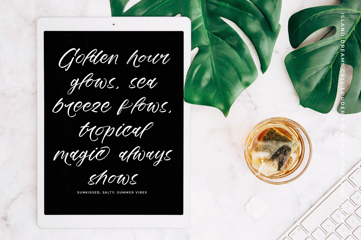 Mindful Angelic Modern Elegant Font, a Script Font by stylishtype.co (Photo 6 of 19)