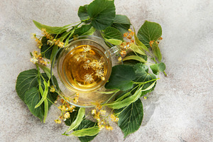 Linden tea with fresh tilia flowers and leaves, a Food & Drink Photo by Olena Rudo