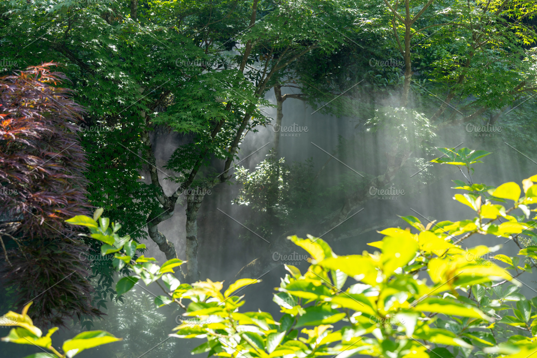 Misted garden of Daisho-in Temple on Miyajima Island, Japan, a Nature Photo by GoodGoods