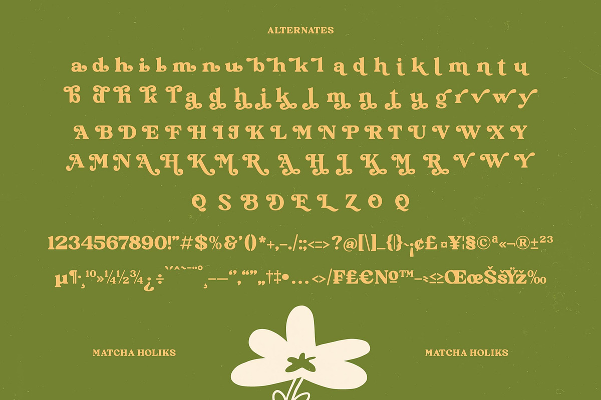 Matcha Holiks Groovy Serif Font, a Serif Font by timelesstype.co (Photo 19 of 20)