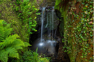 Small waterfall in Shanklin Cline a, a Nature Photo by Backyard Stock