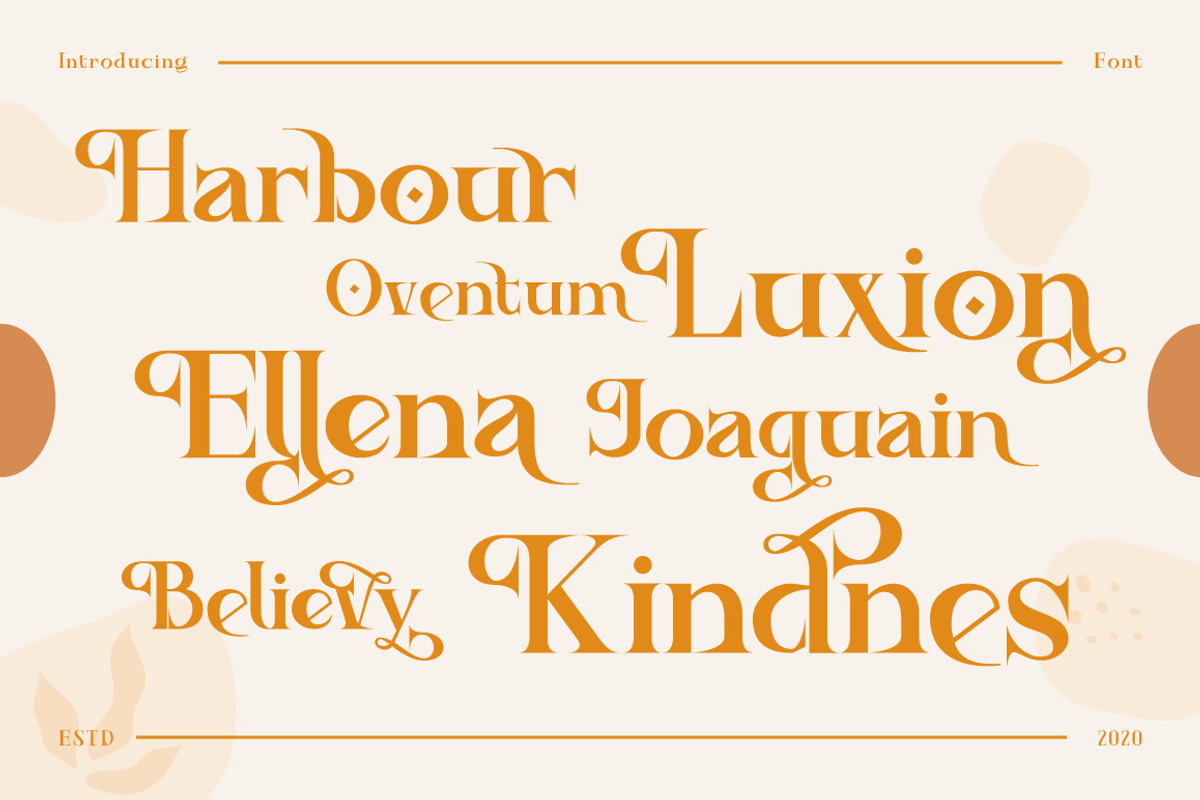 Ancient Zurich - Elegant Serif Logo, a Serif Font by Dirtyline Studio (Photo 16 of 22)
